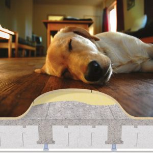 Forjadol-Aislado-ICF-Casa-Pasiva-1-18-e1727872849401